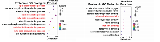 Muti-omics_data_indicates_that_gp78_regulates_lipid_remodeling_and_ferroptosis