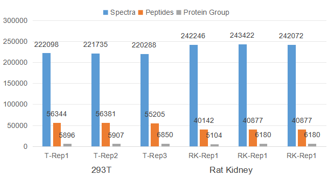 Secondary_spectras,_peptides_and_protein_groups_detected_from_3_replicates_of_293T_cell_samples_and_rat_kidney_samples.png Secondary_spectras,_peptides_and_protein_groups_detected_from_3_replicates_of_293T_cell_samples_and_rat_kidney_samples.png