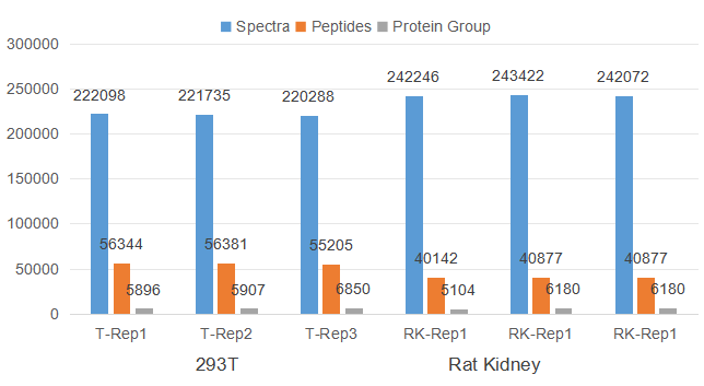 Secondary_spectras,_peptides_and_protein_groups_detected_from_3_replicates_of_293T_cell_samples_and_rat_kidney_samples.png