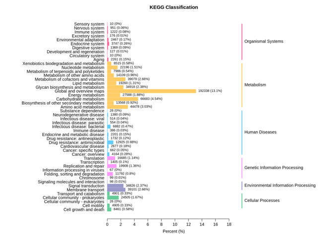 Functional-annotation-analysis.jpg