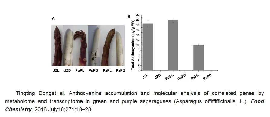 Anthocyanin Detection