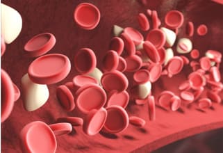 Untargeted Metabolomics