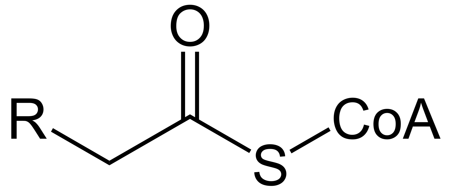 acyl-coa