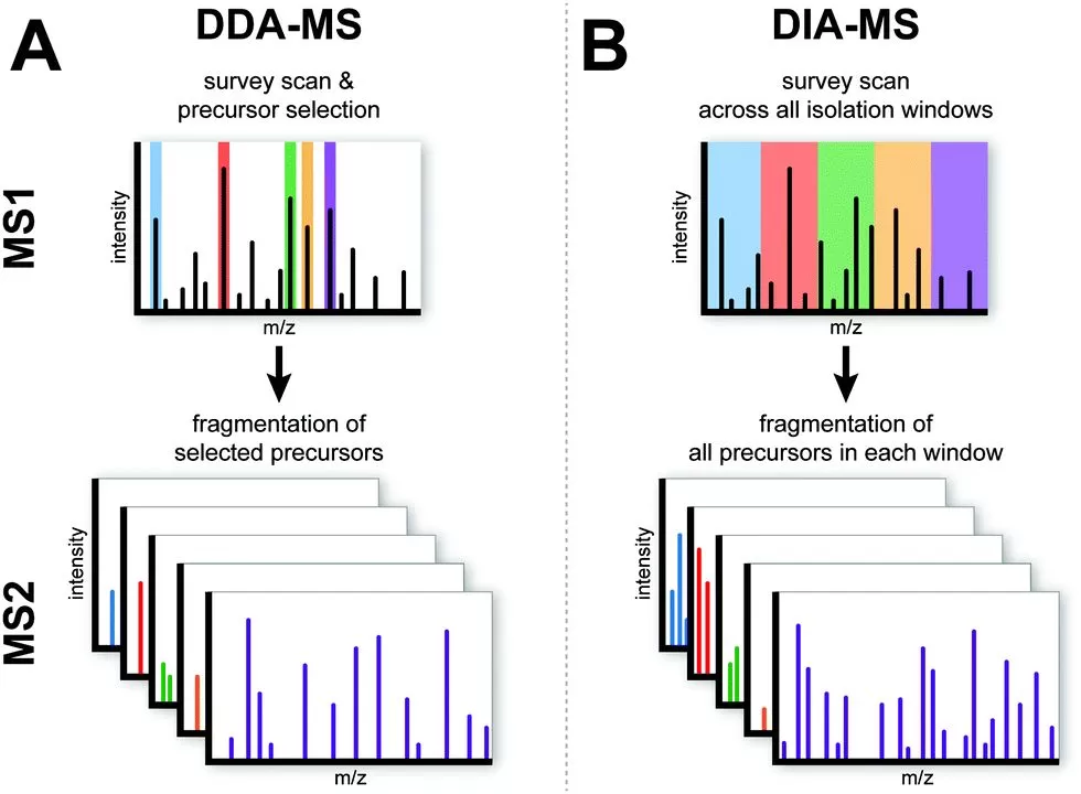 An Overview of Mainstream Proteomics Techniques - MetwareBio