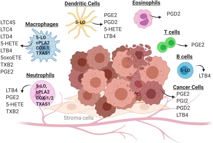 eicosanoids-biosynthesis-metabolism-disease-implications-and-analytical-method