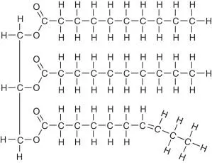 triglyceride-metabolism-structure-regulation-and-role-in-metabolic-diseases