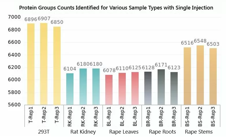 MetwareBio's 4D Proteomics: Doubling Protein Detection - MetwareBio