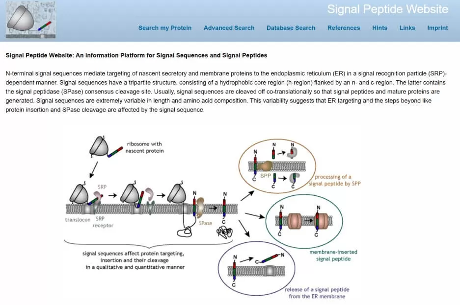 Peptides Database