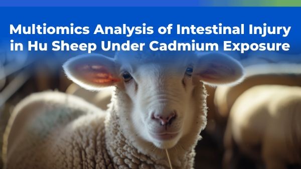 Multiomics Analysis of Intestinal Injury in Hu Sheep Under Cadmium ...