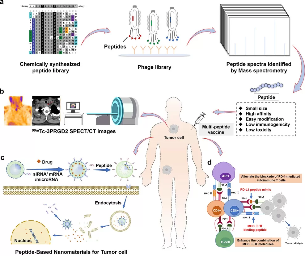 Using Proteomics to Improve the Drug Development Process - MetwareBio