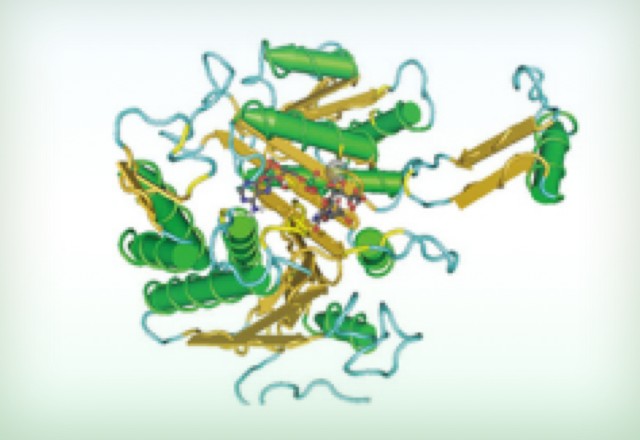 Untargeted Metabolomics