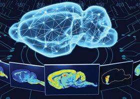 Spatial Metabolomics