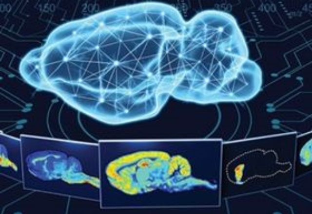 Spatial Metabolomics