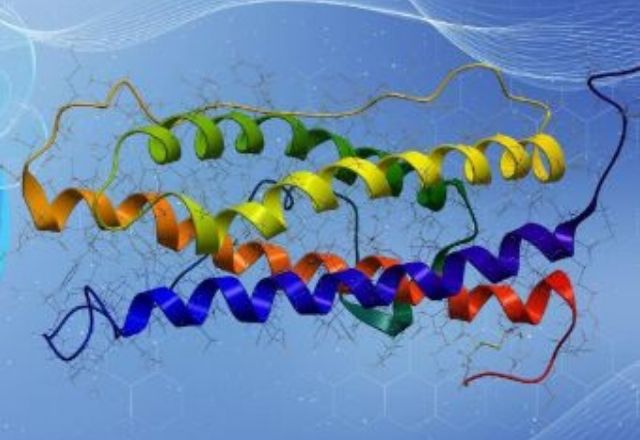 Untargeted Metabolomics