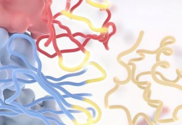 Untargeted Metabolomics
