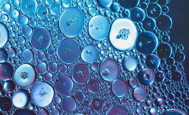 What is Metabolomics Use For?