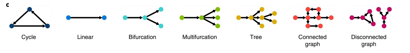 scRNA-seq Explained: Workflow, Tools, and Applications - MetwareBio