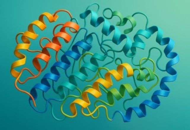 Untargeted Metabolomics