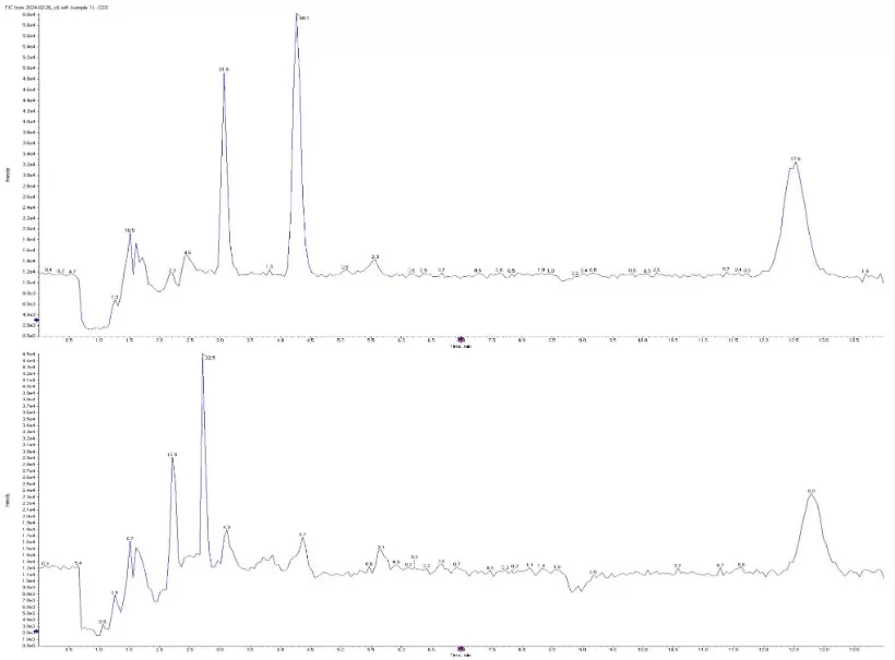 scfa-chromatograms-isobutyrate-butyryate_mdpi-2024 Representative chromatograms showing baseline separation of isobutyrate and butyrate