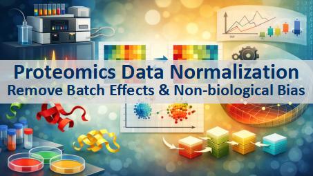 Proteomics Data Normalization: How to Remove Batch Effects and Non ...