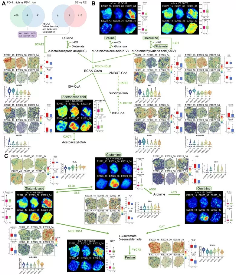 Spatial Metabolomics for Biomarker Discovery in Precision Medicine ...