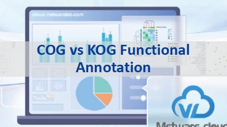 Cog Functional Annotation Graph COG vs KOG Functional Annotation: Differences, Workflow, and Multi ...