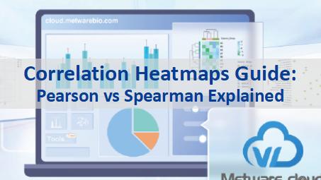How to Create and Interpret Correlation Heatmaps: Pearson vs Spearman ...