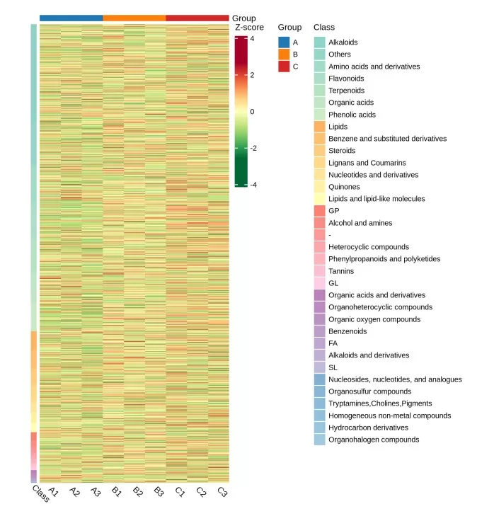 Clustering heatmap of hierarchical cluster analysis for metabolomics results showing sample grouping and molecular co-regulation patterns