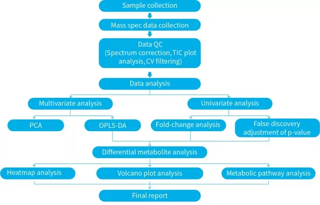 Diagram of a typical metabolomics data analysis workflow including preprocessing, univariate, multivariate, and pathway analysis steps