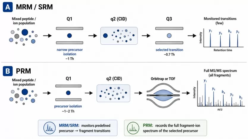 Schematic representation of SRM and PRM workflows on QqQ and high-resolution mass spectrometers for targeted proteomics validation