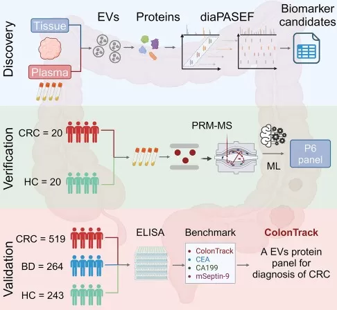 Proteomics-based biomarker discovery and validation workflow combining DIA proteomics, PRM-MS, ELISA, and cohort validation for colorectal cancer
