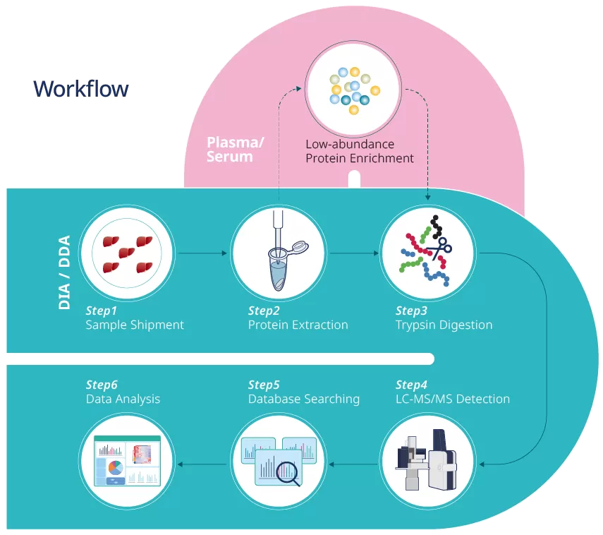 DIA-based plasma and serum proteomics workflow showing sample preparation, enrichment, LC-MS/MS acquisition, and data analysis steps