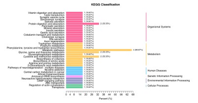 KEGG classification analysis of detected energy metabolism-related metabolites