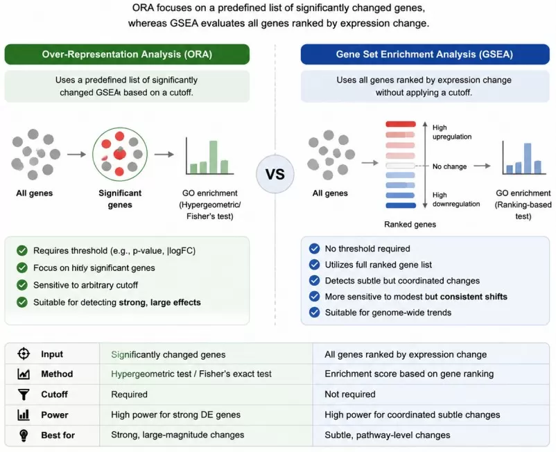 Comparison between Over-Representation Analysis ORA and Gene Set Enrichment Analysis GSEA approaches for functional enrichment analysis