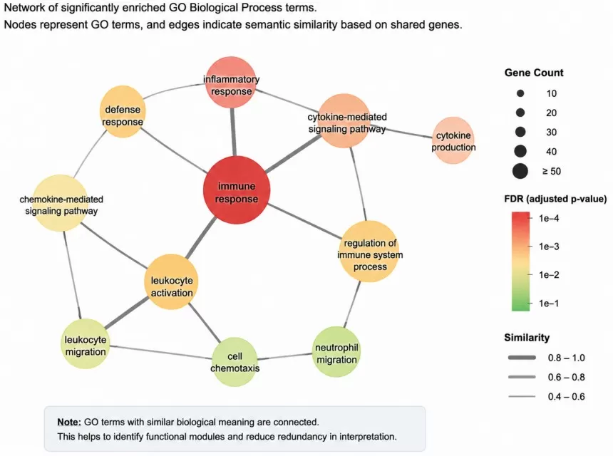 GO term similarity network showing functional relationships among enriched biological processes based on shared genes and semantic similarity