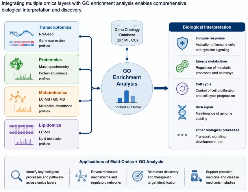 Integration of transcriptomics proteomics metabolomics and lipidomics with GO enrichment analysis for multi-omics biological interpretation