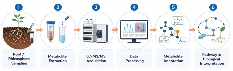 Non-targeted metabolomics workflow for root-soil interaction studies