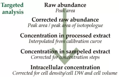 Workflow for absolute intracellular metabolite quantification using isotope-labeled internal standard, calibration, and cell density normalization