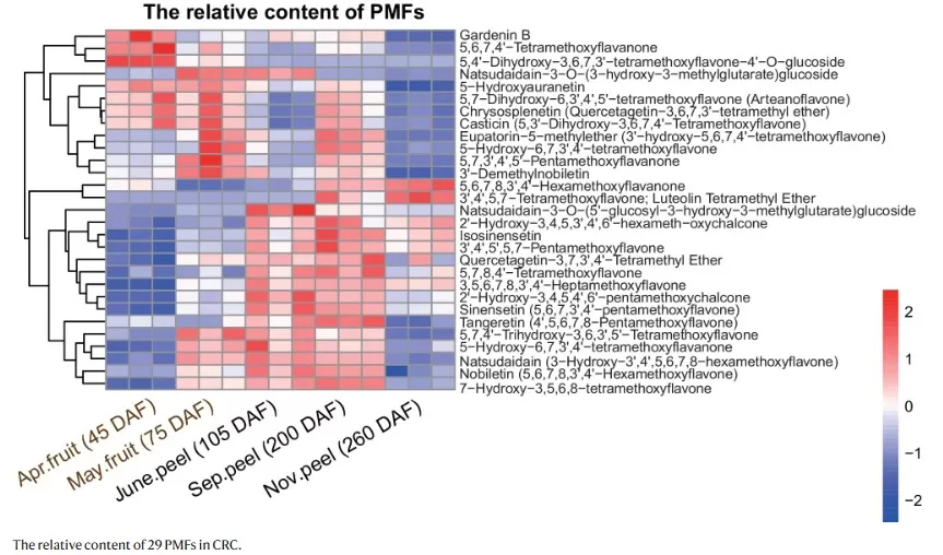 Metabolomics profile of polymethoxylated flavonoids in Citrus reticulata cv. Chachiensis across developmental stages, showing compound-level evidence for citrus flavonoid biosynthesis research.