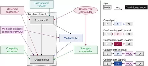 DAG components relevant to covariate selection