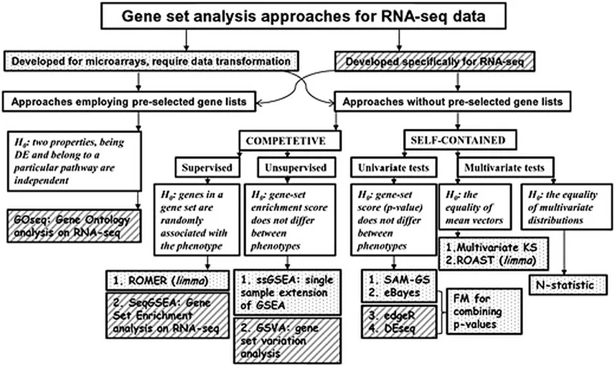 Statistical classification of gene set analysis methods