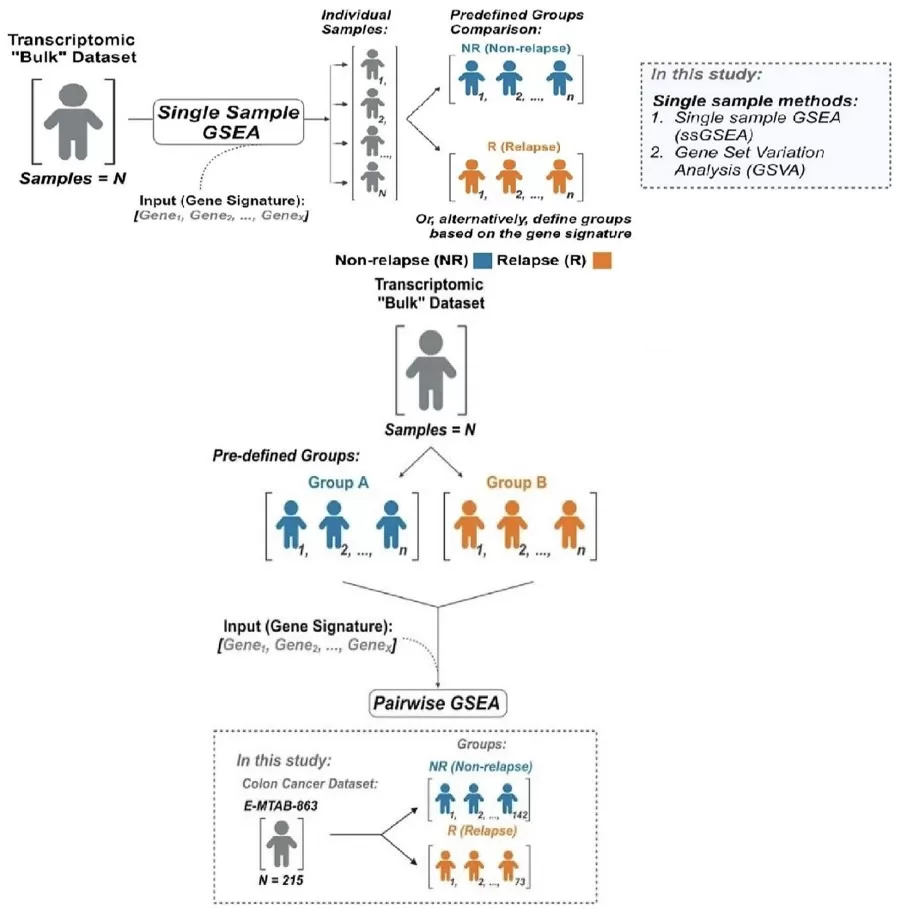 Pairwise and single-sample gene-set analysis workflows comparing GSEA ssGSEA and GSVA