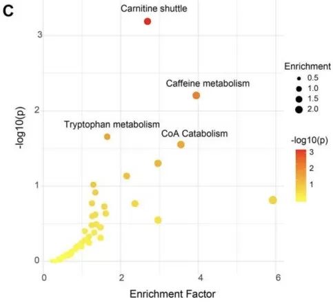 Mummichog-based pathway-level functional analysis in MetaboAnalyst 6.0 using LC-MS metabolomics case study