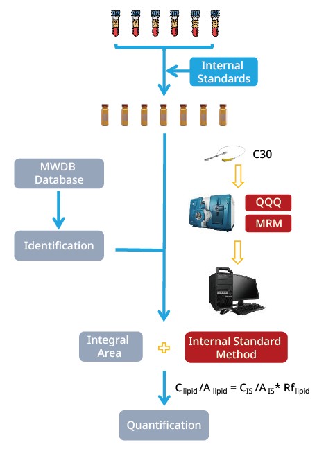 metwareBio-quantitative-lipidomics-service-workflow