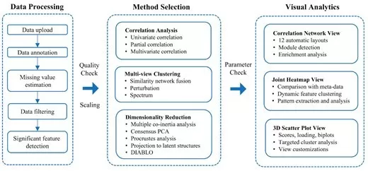 Multi-omics workflow covering data processing and network analysis
