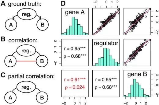 Pearson and partial correlation networks in a simulated shared-regulator scenario