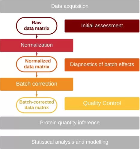 Workflow for assessing, correcting, and validating batch effects in large-scale proteomics data analysis