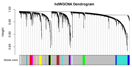 Gene co-expression network analysis using single-cell RNA sequencing to identify regulatory modules and gene interaction patterns