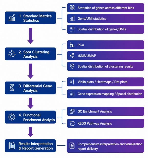 Standard bioinformatics analysis workflow for spatial transcriptomics data analysis and deliverables
