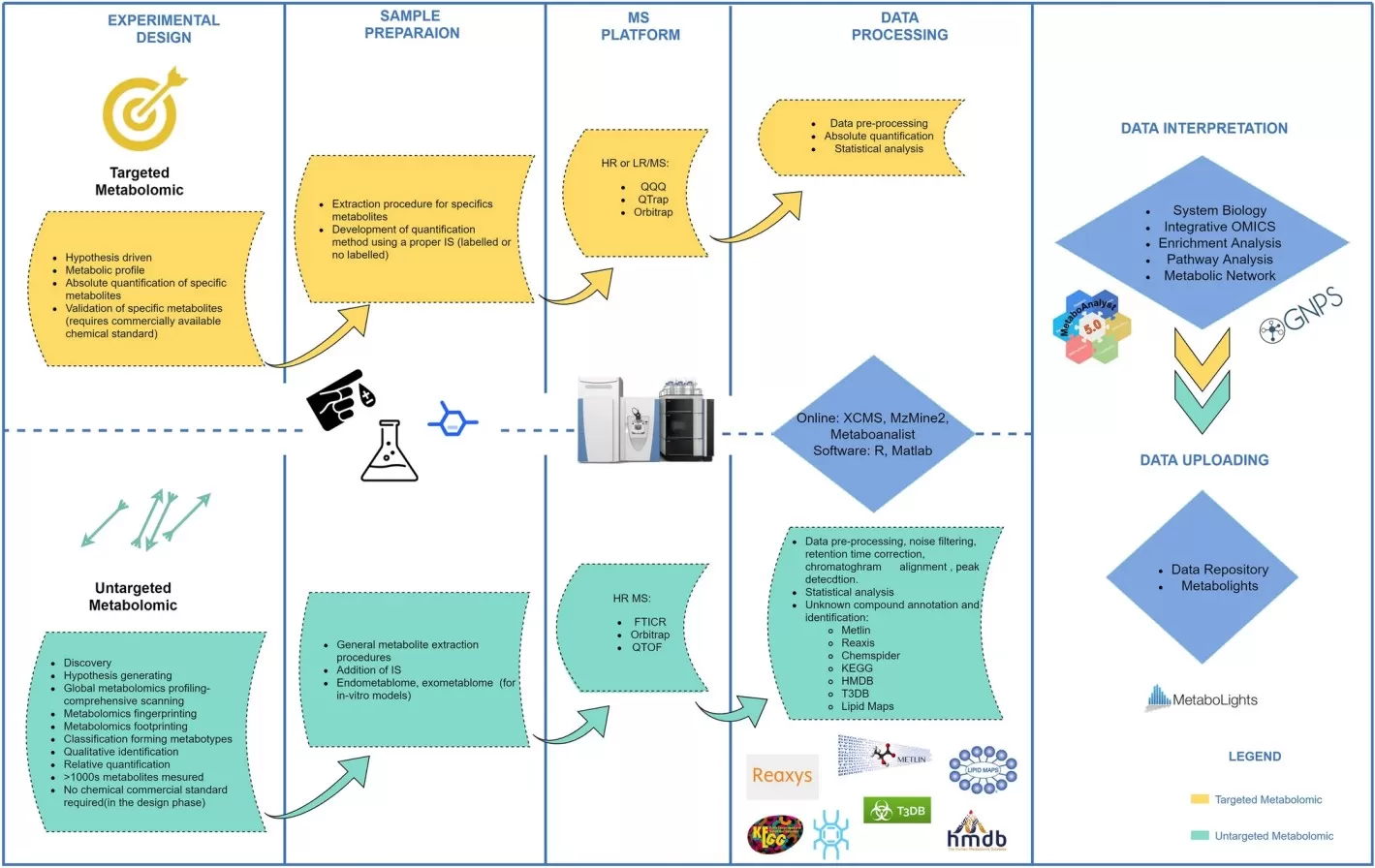 Representative LC-MS workflows for targeted and untargeted metabolomics